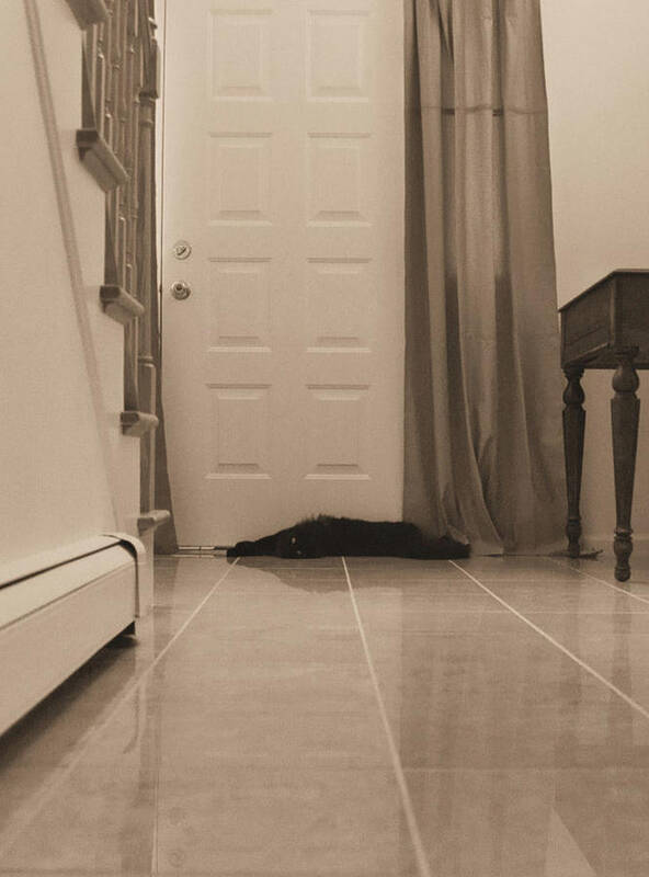 Sepia Photography Art Print featuring the photograph Black Cat in Hall by Geoff Jewett