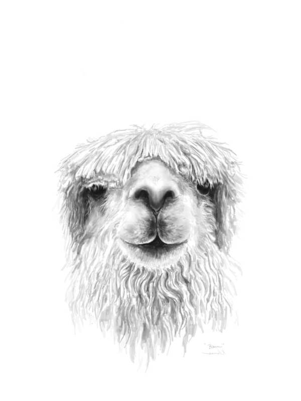 Llama Art Art Print featuring the drawing Blain by Kristin Llamas