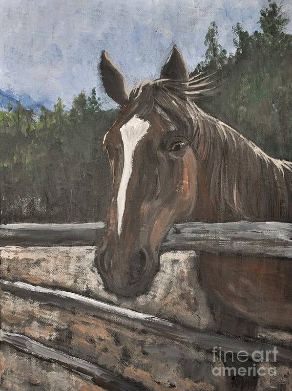 Horses Art Print featuring the painting Blossom the Horse by Reb Frost