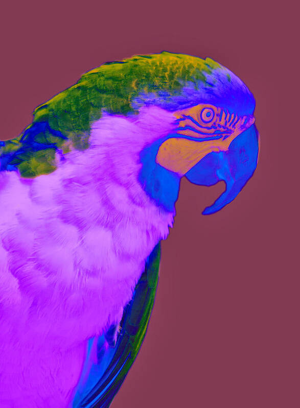 Bird Art Print featuring the photograph Blue and Gold Macaw Sabattier by Bill Barber