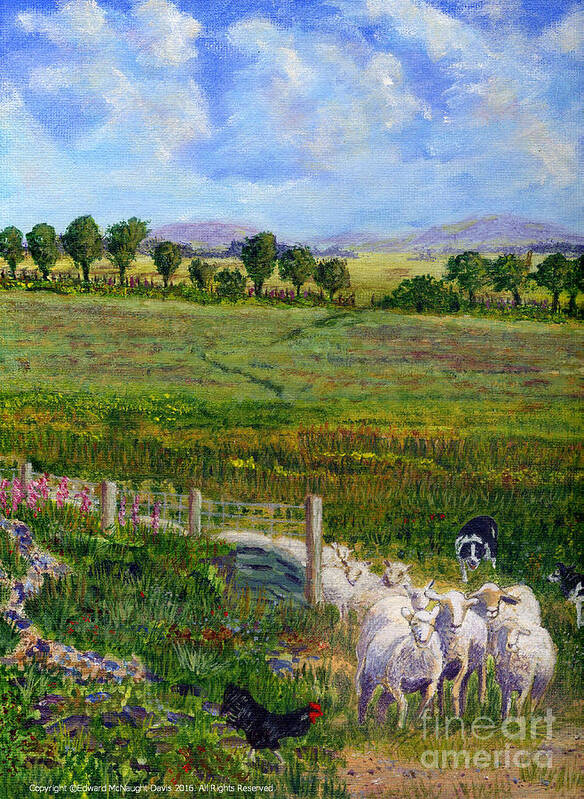 Border Collie Dogs Driving Sheep Through Welsh Farmland Gate Art Print featuring the painting Border Collie Dogs Driving Sheep through Welsh Farmland Gate by Edward McNaught-Davis