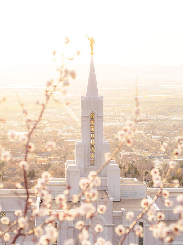 Bountiful Temple Art Print featuring the photograph Bountiful Temple Blooms by Emily Dickey