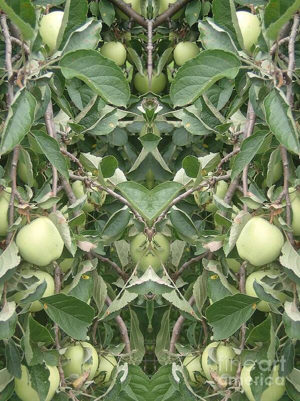 Apples Art Print featuring the photograph Bounty by Christina Verdgeline