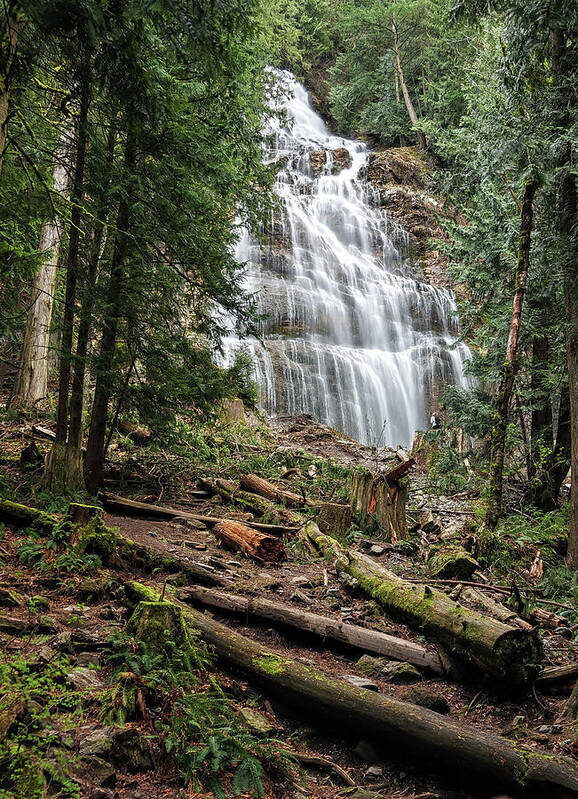 Alex Lyubar Art Print featuring the photograph Bridal Waterfalls by Alex Lyubar