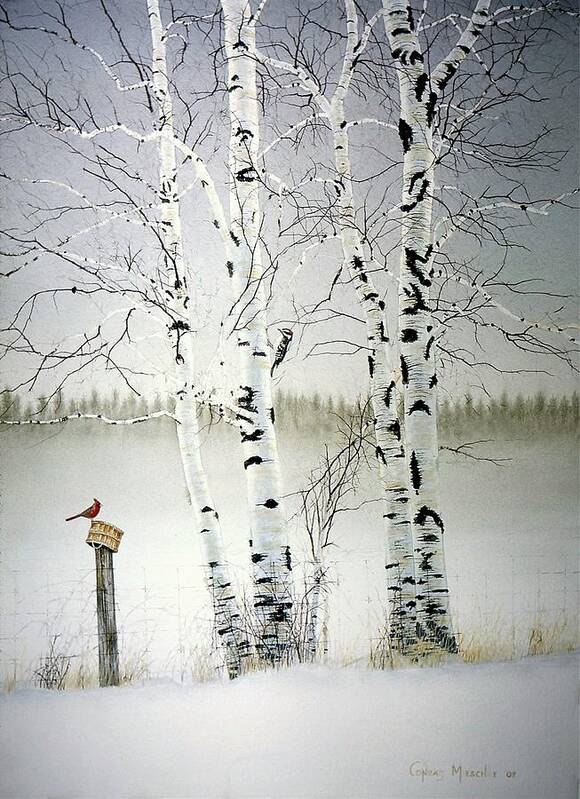 Birchtrees Art Print featuring the painting Broken Silence by Conrad Mieschke
