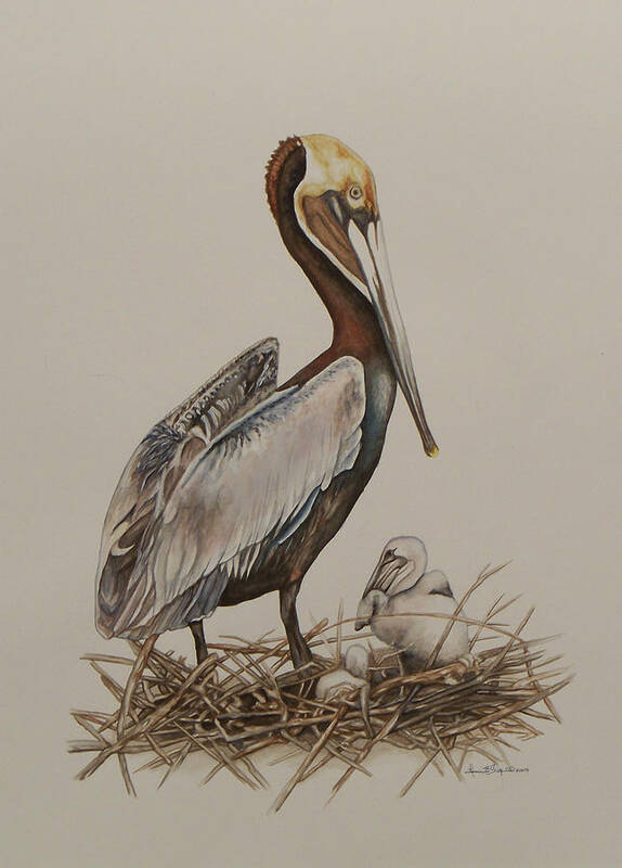 Borwn Pelican Art Print featuring the painting Brown Pelican and Chicks by Laurie Tietjen