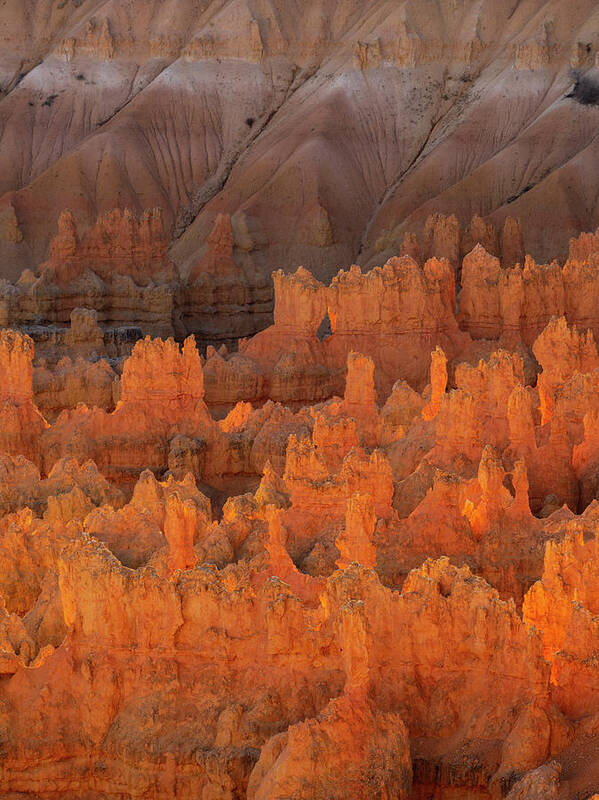 Bryce Art Print featuring the photograph Bryce Hoodoos by Emily Dickey