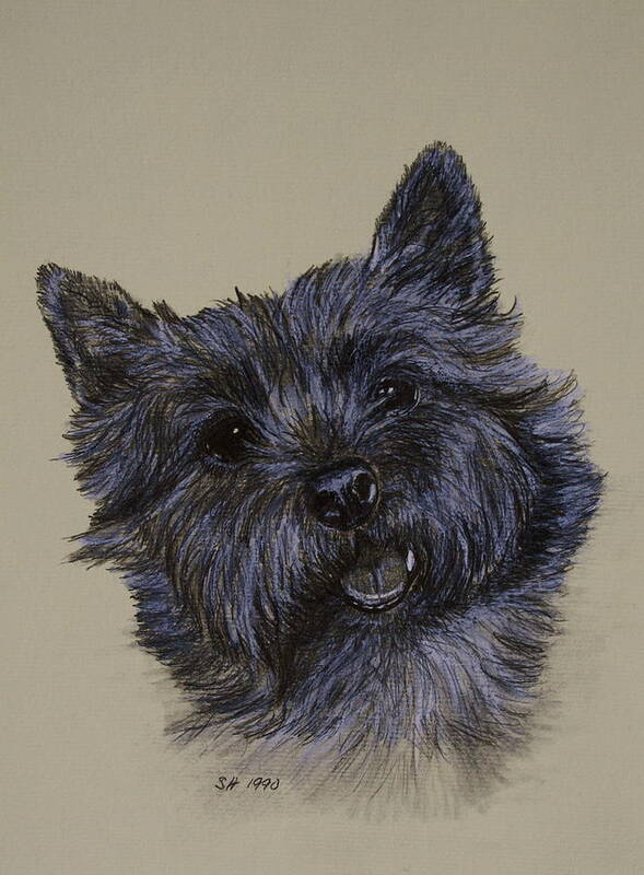 Cairn Art Print featuring the drawing Cairn Terrier by Susan Herber