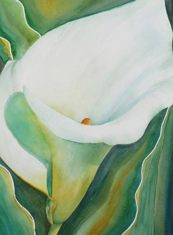 Flower Art Print featuring the painting Calla Lily by Ruth Kamenev