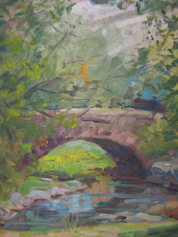 Small Bridge And Pond In Central Park Ny Art Print featuring the painting Central Park bridge by Bart DeCeglie