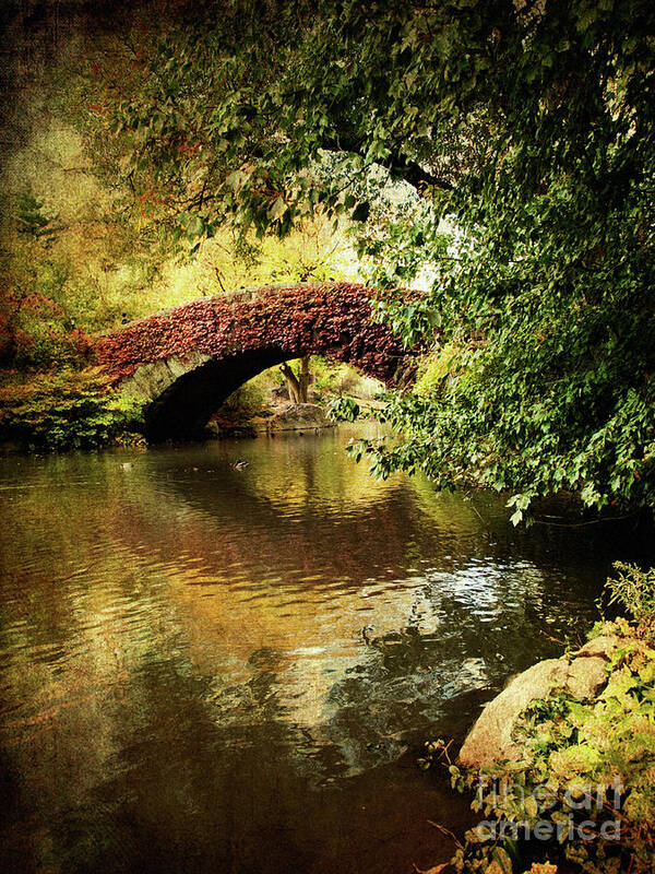 Central Park Art Print featuring the photograph Central Park In Autumn Texture 6 by Dorothy Lee