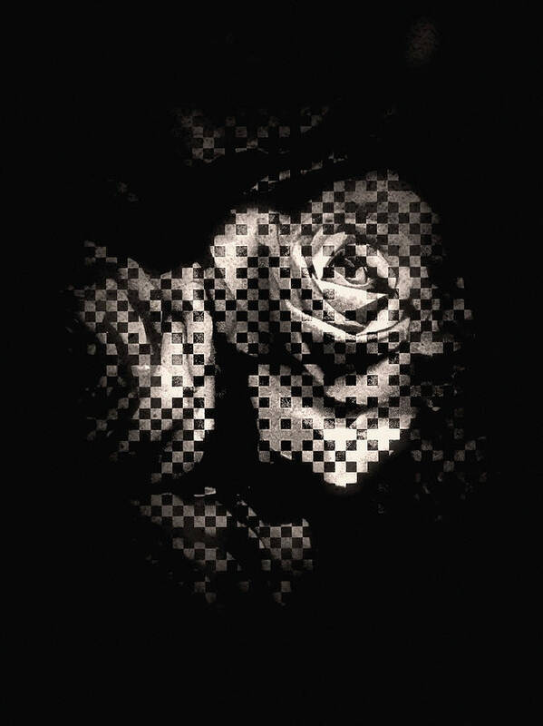 Rose Art Print featuring the photograph Checkmated by Susan Maxwell Schmidt