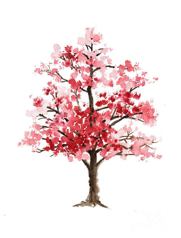 Cherry Blossom Tree Minimalist Watercolor Painting Art Print By
