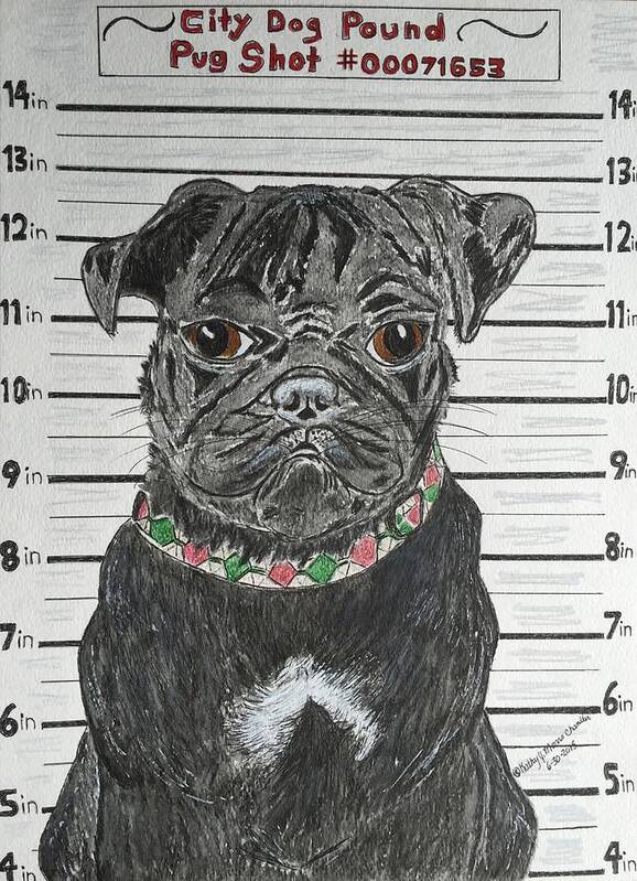 Black Pug Art Print featuring the painting City Dog Pound Pug Shot by Kathy Marrs Chandler