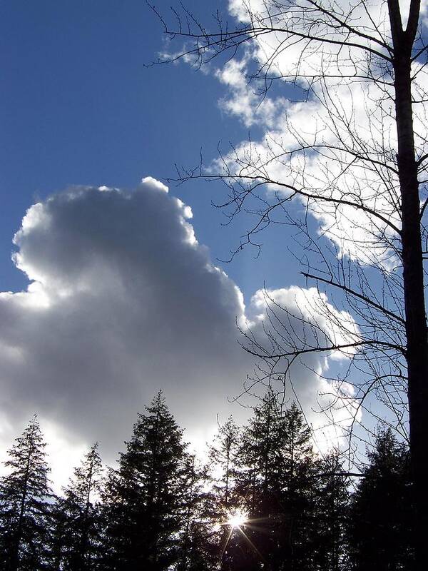 Clouds In A Blue Sky Art Print featuring the photograph Cloud Leaves by Julie Rauscher