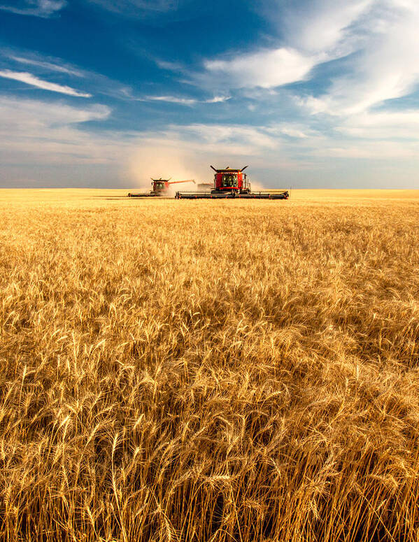 Two Art Print featuring the photograph Combines Cutting Wheat by Todd Klassy
