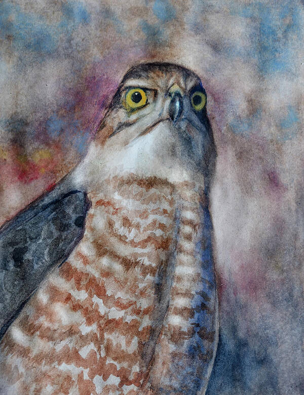 Watercolor Art Print featuring the painting Coopers Hawk WC by Rick Mosher