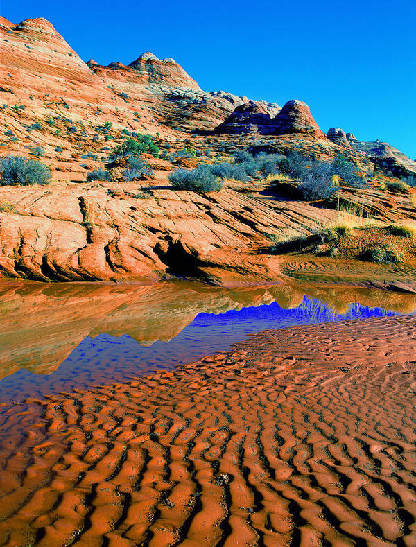 Coyote Buttes Art Print featuring the photograph Coyote Buttes Reflection by Frank Houck