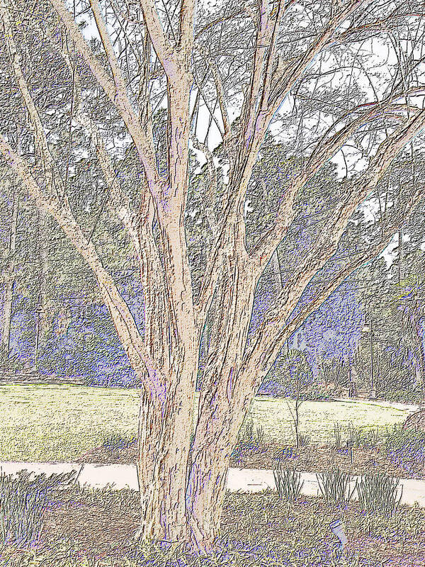 Photography Art Print featuring the digital art Crepe Myrtle Close-Up in Colored Pencil by Marian Bell