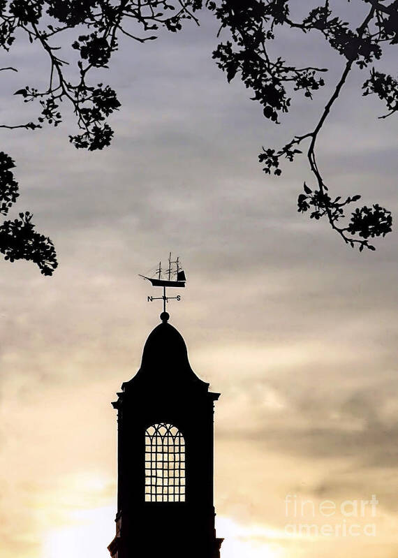 Silhouette Art Print featuring the photograph Cupola Silhouette by Janice Drew