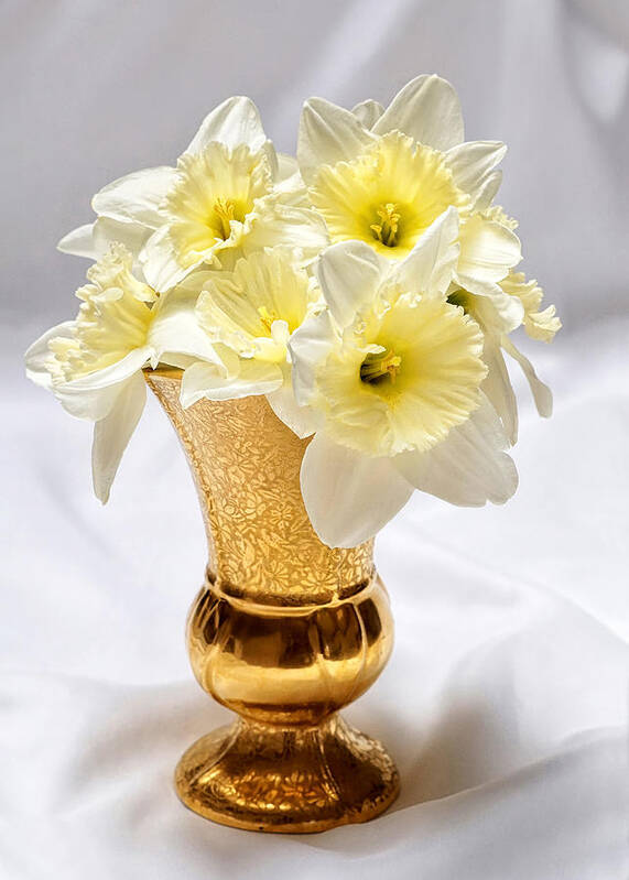 Daffodils Art Print featuring the photograph Daffodil Elegance by Kathi Mirto
