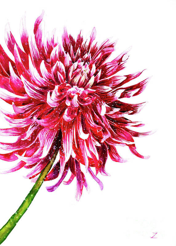 Dahlia Art Print featuring the painting Dahlia by Zaira Dzhaubaeva