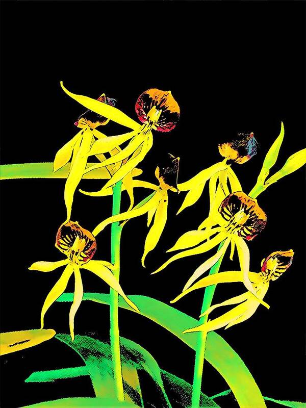 #flowersofaloha #flowers # Flowerpower #aloha #hawaii #aloha #puna #pahoa #thebigisland #dancingorchidsyellow Art Print featuring the photograph Dancing Orchids Yellow by Joalene Young