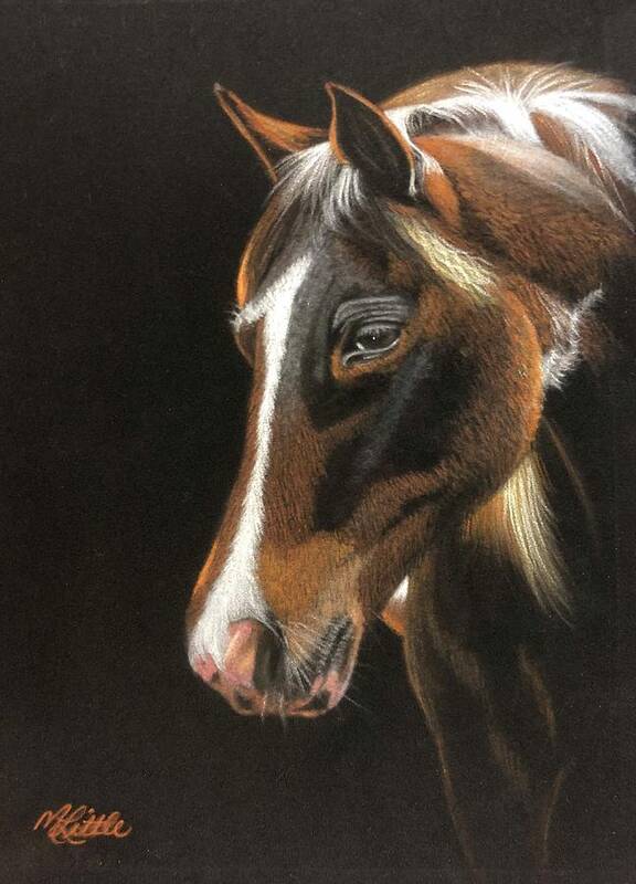 Dark Horse Art Print featuring the pastel Dark Horse by Marlene Little