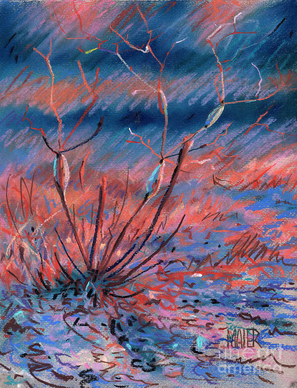 Weed Art Print featuring the drawing Desert Weed by Donald Maier