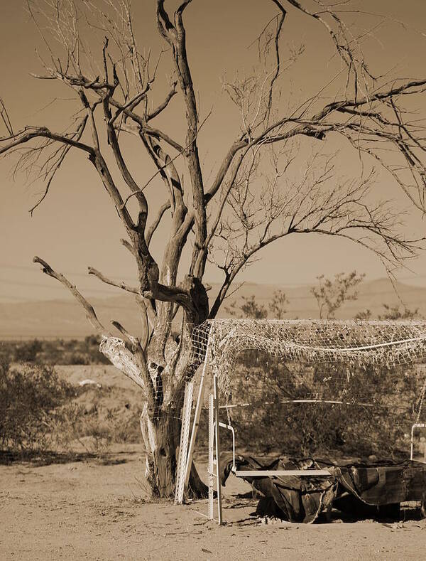 Swing Art Print featuring the photograph Deserted Swing in Sepia by Colleen Cornelius