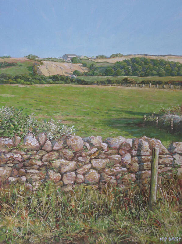 Countryside Art Print featuring the painting Devon field and drystone wall by Martin Davey