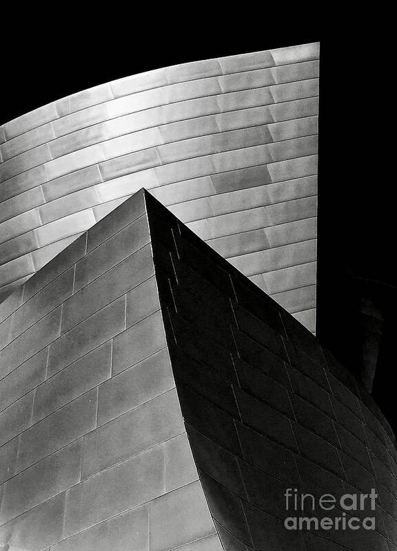 Disney Concert Hall Art Print featuring the photograph Disney Concert Hall Black and White by Michael Cinnamond
