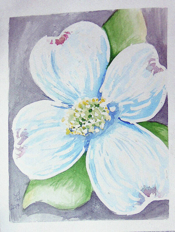  Art Print featuring the painting Dogwood Bloom by Loretta Nash