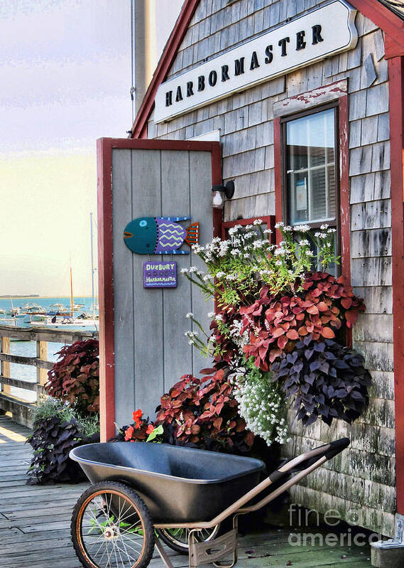 Duxbury Ma Art Print featuring the photograph Duxbury Harbormaster Shack by Janice Drew