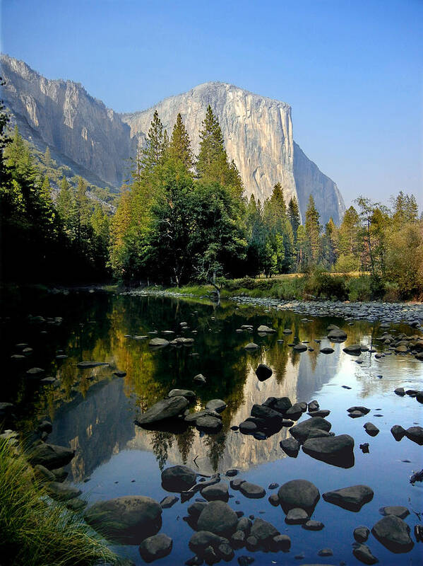 Yosemite Art Print featuring the photograph El Cap Reflect by Matthew by Ed Cooper Photography