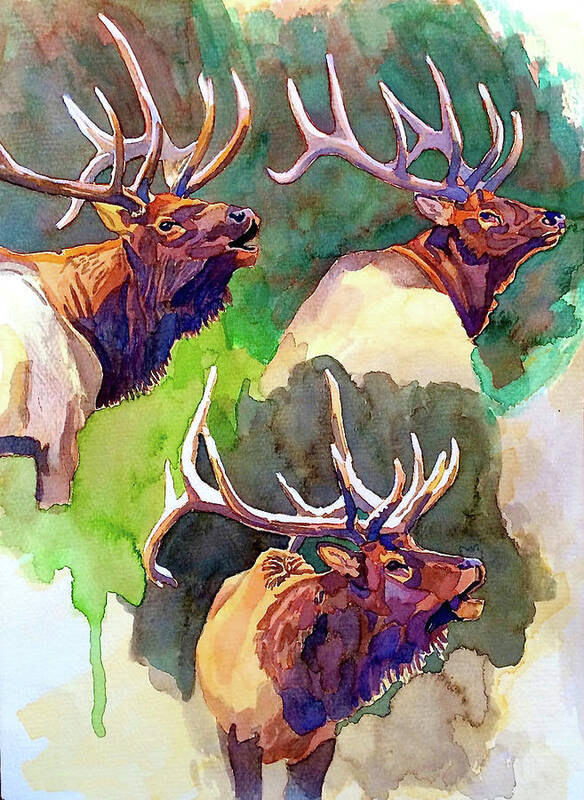 Art Art Print featuring the painting Elk Studies by Dan Miller