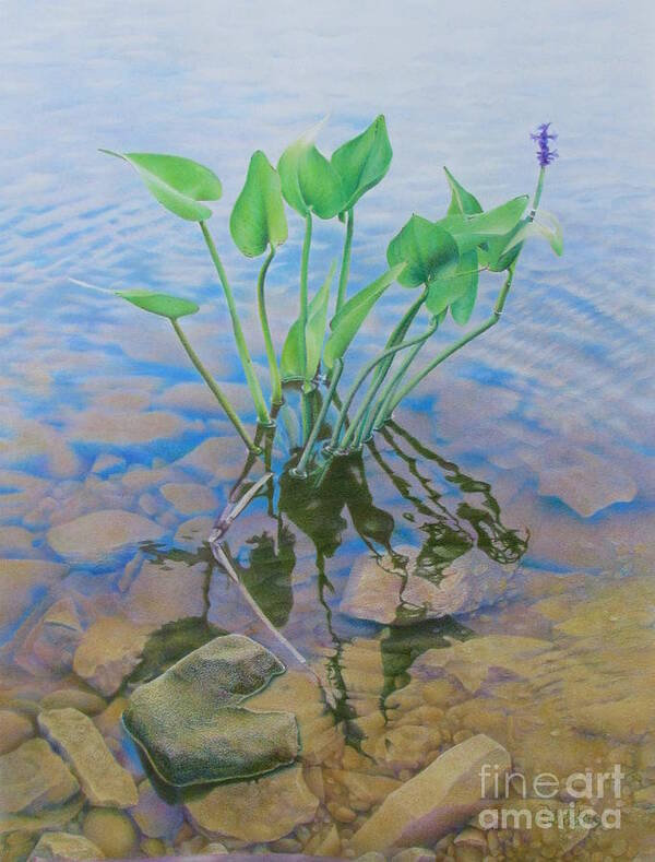 Water Art Print featuring the painting Ellie's Touch by Pamela Clements