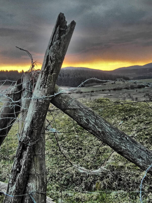 Fence Art Print featuring the photograph Fence At Sunset by Brainwave Pictures