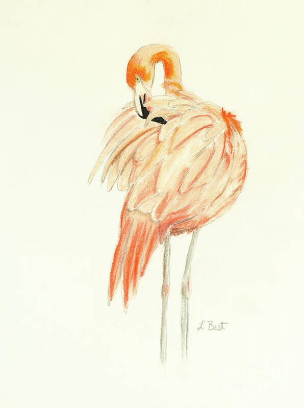 Flamingo Art Print featuring the painting Flamingo by Laurel Best