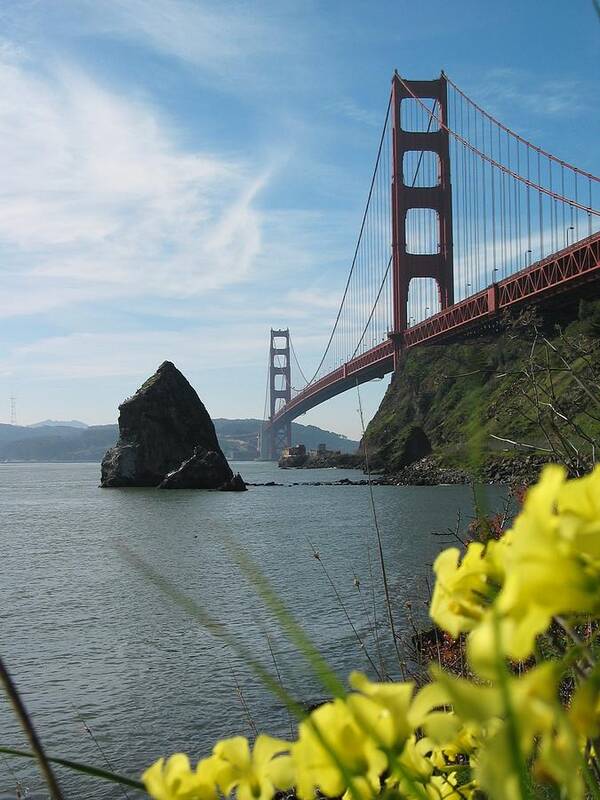 Golden Gate Bridge Art Print featuring the photograph Fort Baker Spring by Jeff Floyd CA