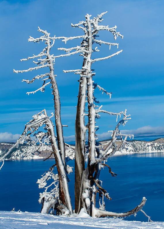 Crater Lake Art Print featuring the photograph Frozen in time by Tom Potter