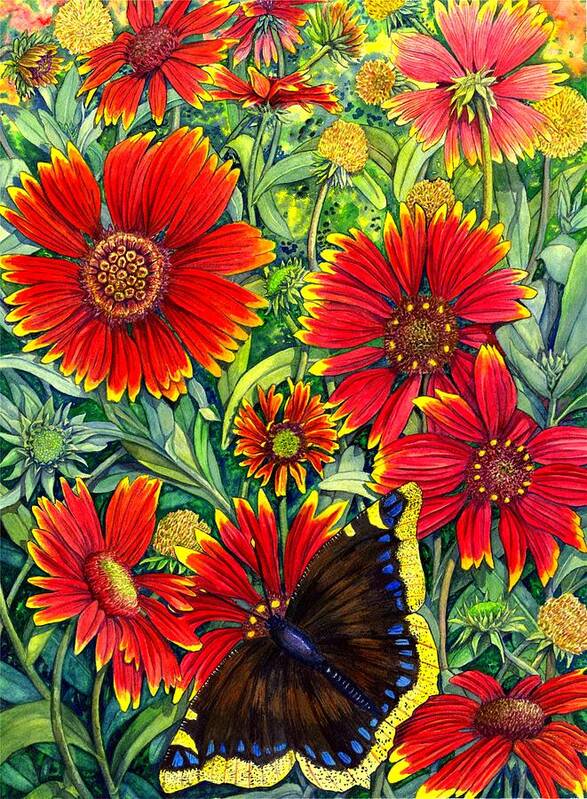Butterfly Art Print featuring the painting Gaillardia by Catherine G McElroy