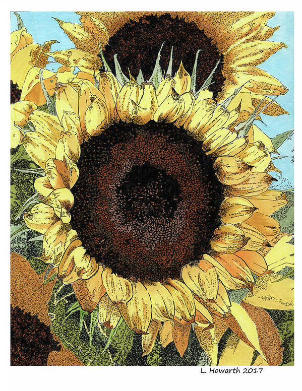 Sunflowers Art Print featuring the drawing Garden Gold by Louise Howarth