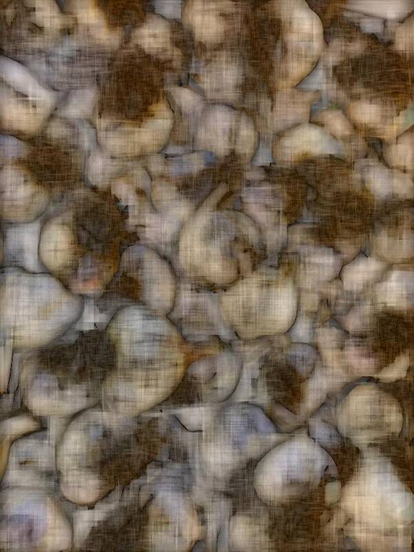 Garlic Bulb Art Print featuring the photograph Garlic Bulbs by Mark Egerton
