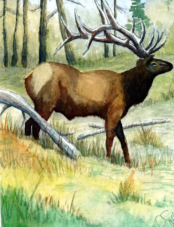 Wildlife Art Print featuring the painting Gash Flats Bull by Jimmy Smith