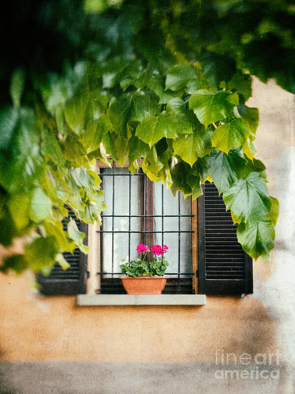 Architecture Art Print featuring the photograph Geraniums on windowsill by Silvia Ganora