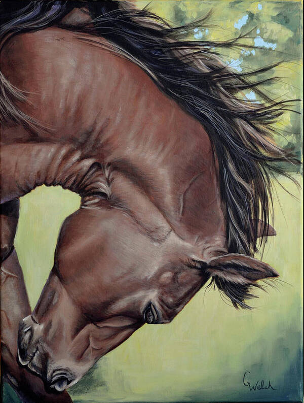 Horses Art Print featuring the painting Get That Itch by Cindy Welsh