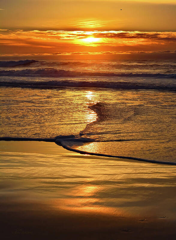 Beach Art Print featuring the photograph Golden Pacific Sunset by Brian Tada