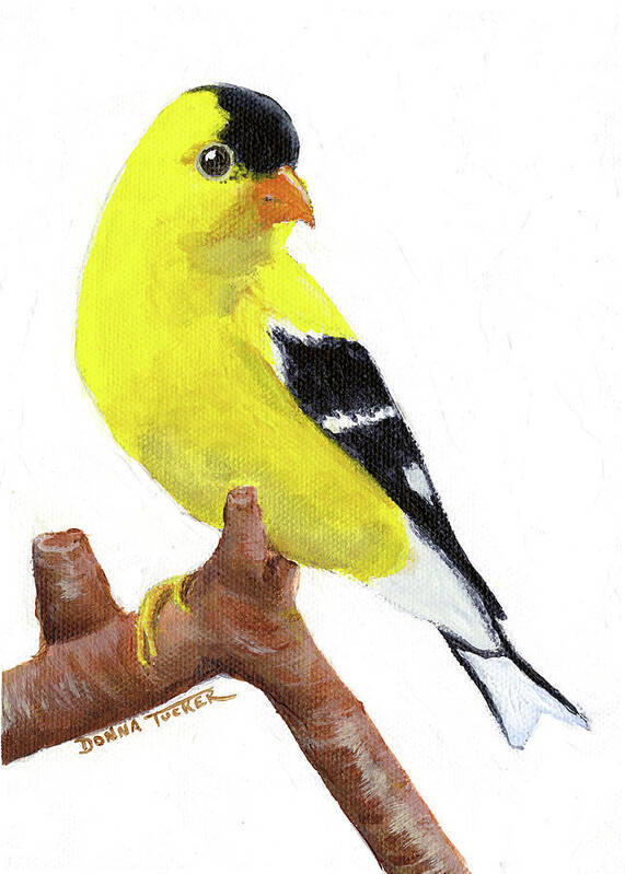 Bird Art Print featuring the painting Goldfinch by Donna Tucker