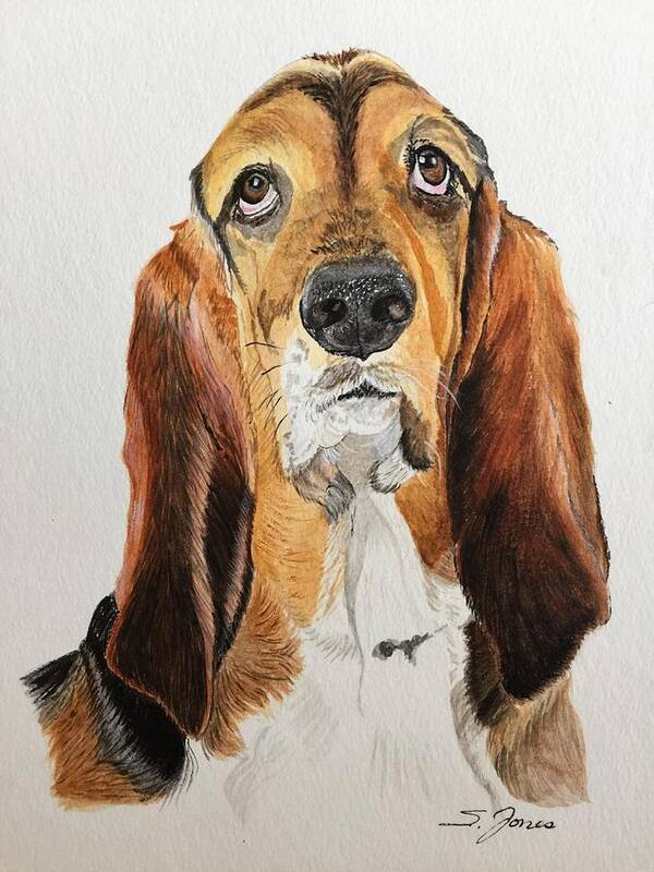 Basset Hound Art Print featuring the painting Good Grief by Sonja Jones